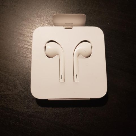 Apple Earphones