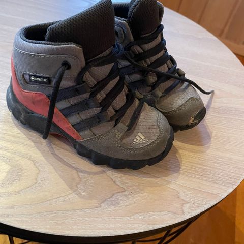 Adidas Terrex Mid GTX sko