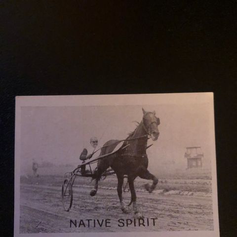 Native Spirit Axel Jensen Johan Widding Trav Bjerke sigarettkort 1930