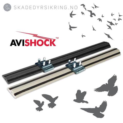 Avishock - Elektrisk fugleavvisning