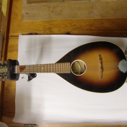 Levin Mandolin