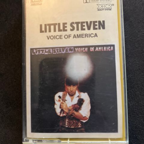 Little Steven - Voice of America