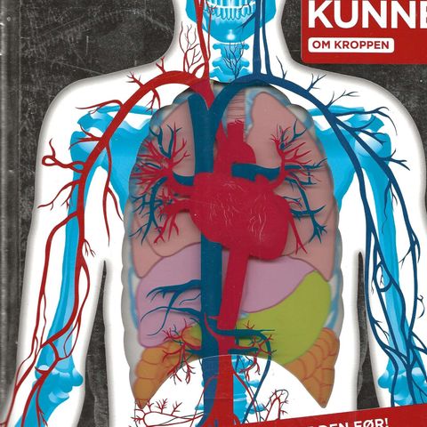 Kult å kunne om kroppen. Kroppen - slik du aldri har sett den før, 2010