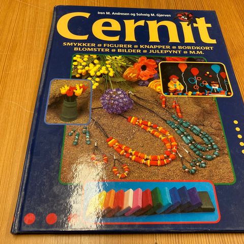 Iren M. Andresen/Solveig M. Gjørven : CERNIT