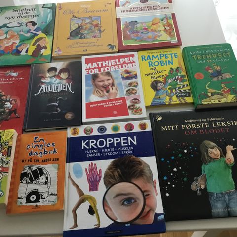 Barnebøker fagbøker biologi kjemi matte engelsk norsk kokebøker til salgs