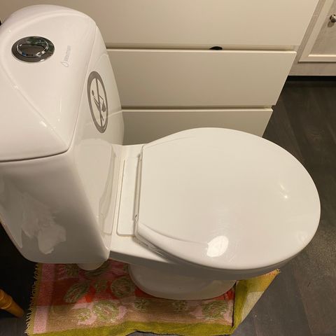 Eco Flush vanntoalett m/urinseparasjon