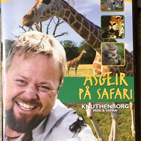 Asgeir på Safari (🔥som ny! )