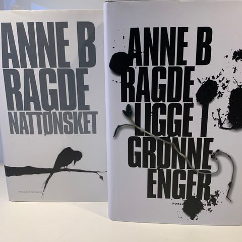 Anne B Ragde