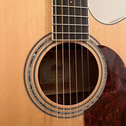 Cort gitar GA5F-PF CF med veske