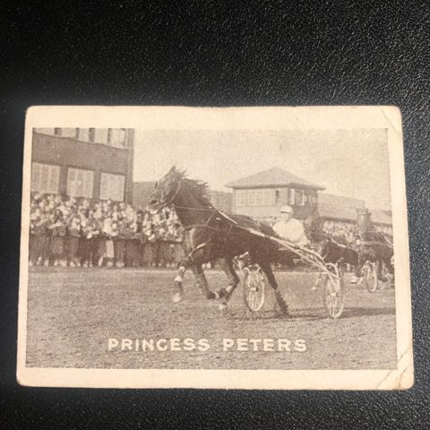Princess Peters Ferdinand Sundaas Oslo Wilhelm Trav Bjerke sigarettkort 1930