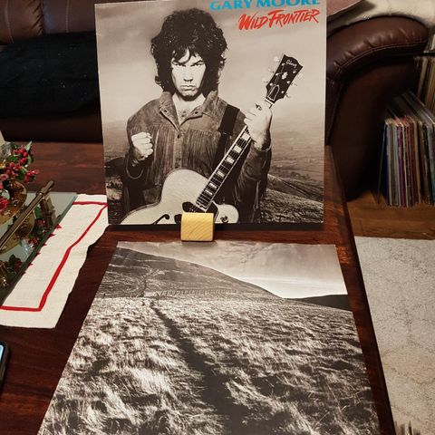 Gary Moore wild frontiers