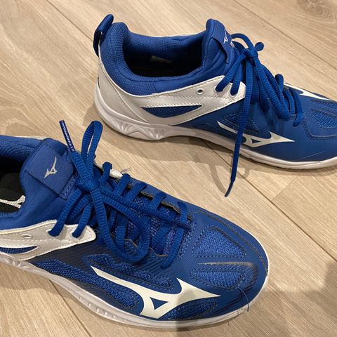 Mizuno ghost shadow hallsko strl. 39