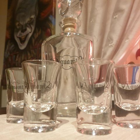 Nytt Aquavit karaffel og glass sett selges kr 200,-