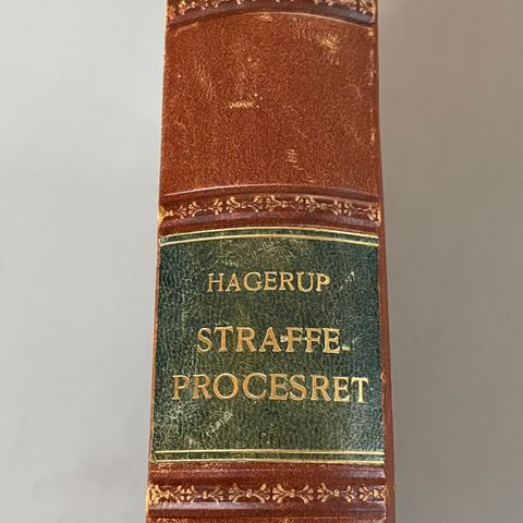 Hagerup straffeproces. 1921. Stoff om strafferett, juss, advokat, dommer etc