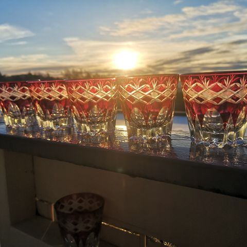 6 flotte whiskeyglass (/cognacglass) i Bohemia stil