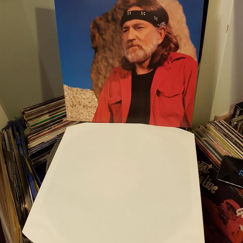 Willie Nelson the promiseland