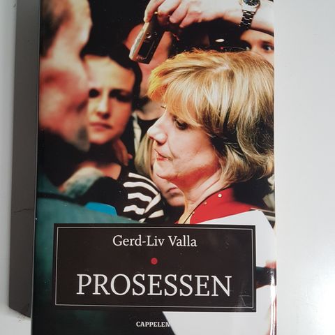 Prosessen  : Gerd-Liv Valla, Stian Bromark