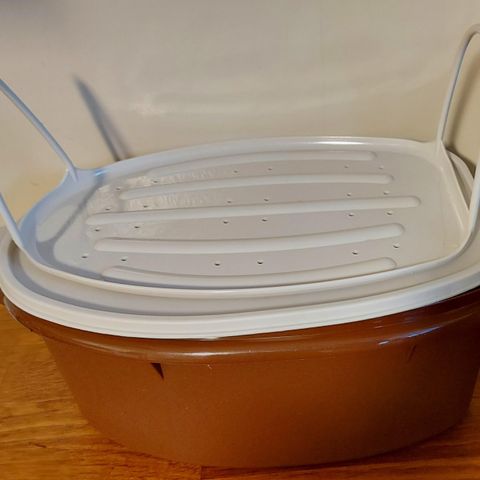 Tupperware  vintage "Grisen"