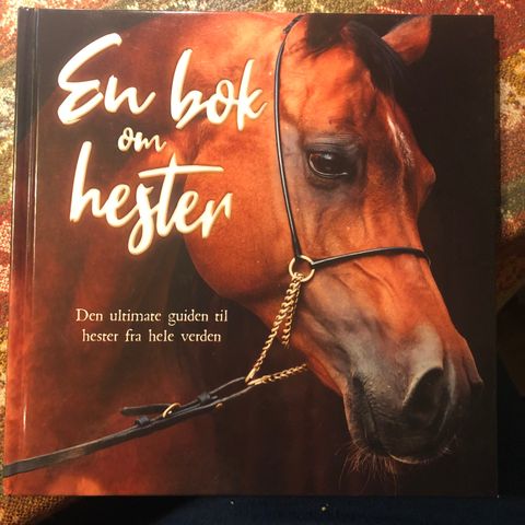 Annonsebilde