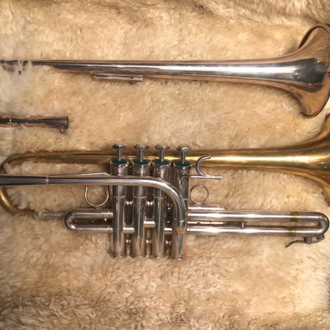 Schilke Eb trumpet