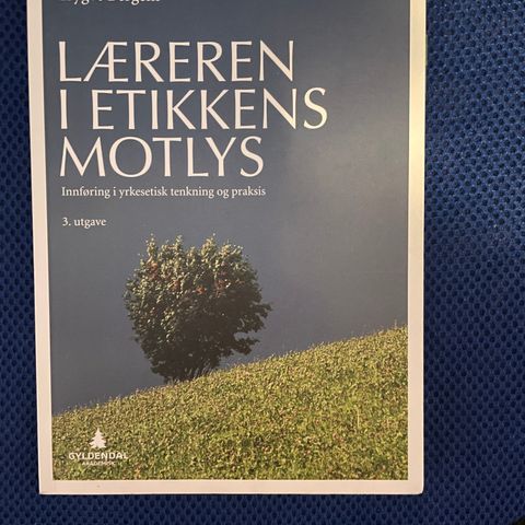 Læreren i etikkens motlys