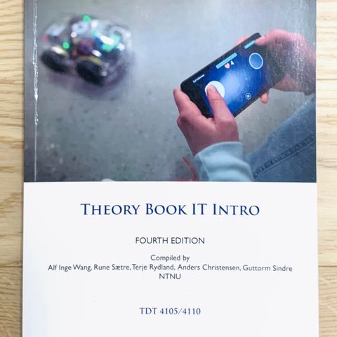 Theory book IT intro - 4. utgave  - lite brukt