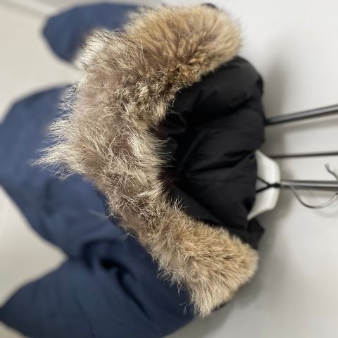 Canada Goose Expedition Parka NAVY BLUE L/G