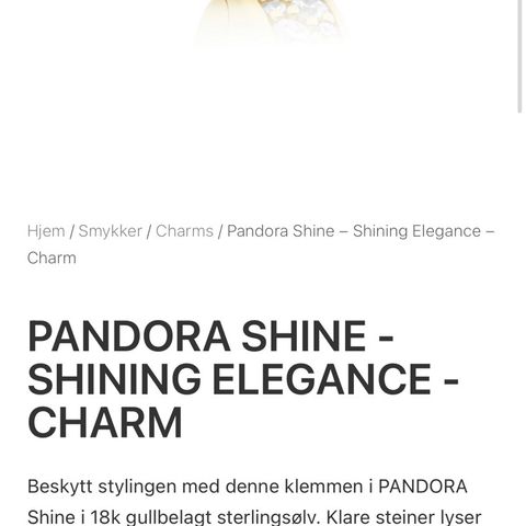 pandora 2 stk charms