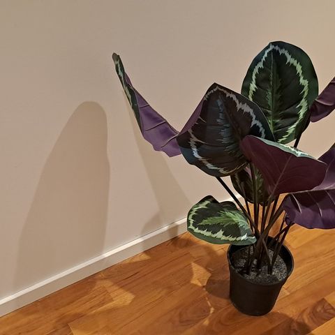 Kunstig plante fra IKEA for kr. 650