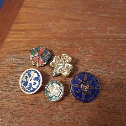 5 stk vintage girl scouts pins / Merker