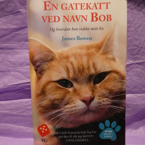 En gatekatt ved navn Bob