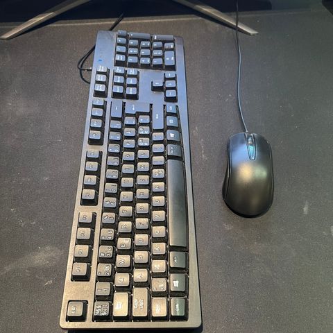 mus og tastatur