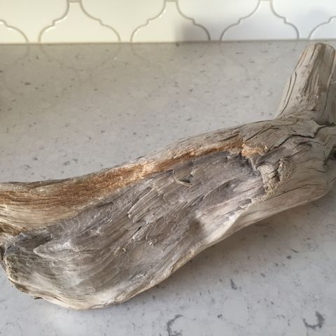 Northern Iceland Beach Driftwood