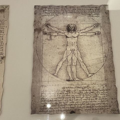 IKEA Olunda Leonardo Da Vinci Bilde i Ramme