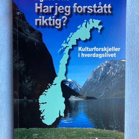 Kultur: Har jeg forstått riktig? - kulturforskjeller i arbeidslivet - ny bok