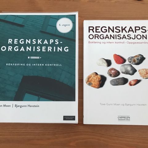 Regnskapsorganisering og regnskapsorganisasjon