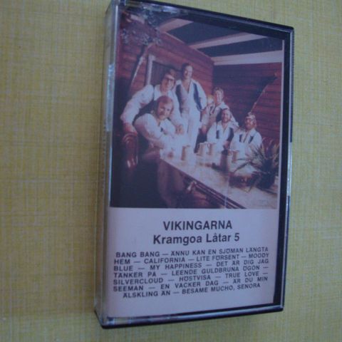 VIKINGARNA