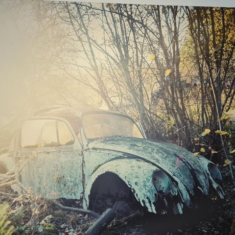 WV Boble, Fotografi: Apocalyptic Beetle