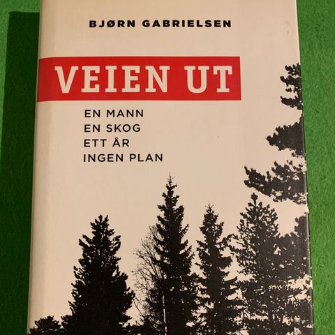 Bjørn Gabrielsen - Veien ut (2006)