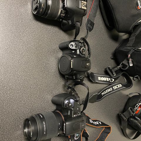 Canon 500D, 400D og Sony A300