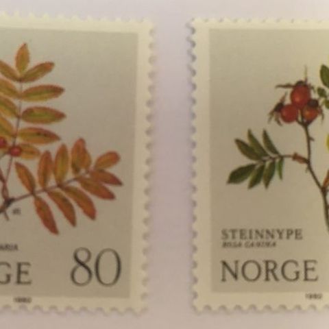 Norge 1980 Blomster IV  NK 873 og NK 874. Postfrisk.