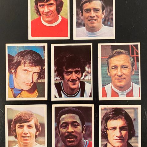 TOP SELLERS/PANINI FOOTBALL 74 - VELG KORT