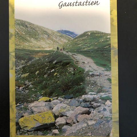 Gaustastien ubrukt (1049C)