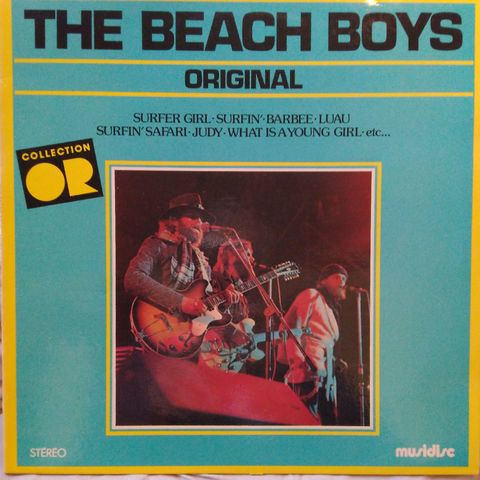 Vinyl LP The Beach boys