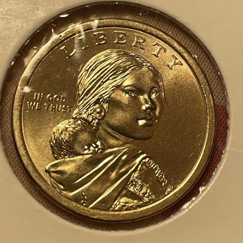 USA 1 Dollar 2018 D Native
