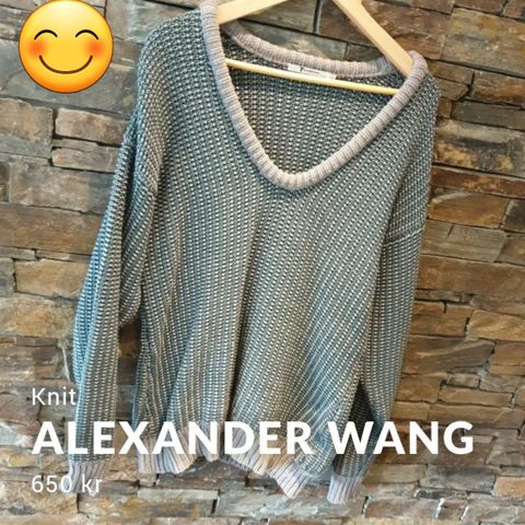 Alexander Wang genser - Large