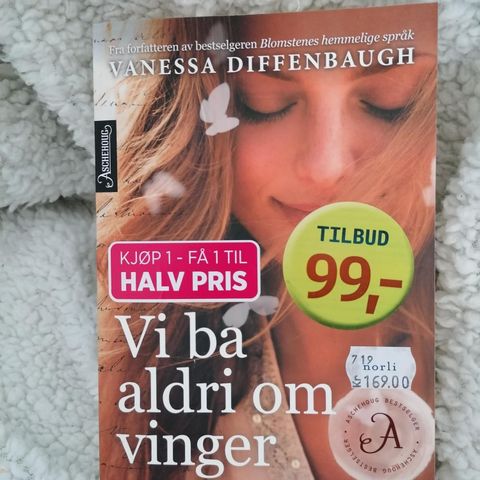 Vi ba aldri om vinger