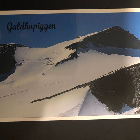 Galdhøpiggen ubrukt (1186)