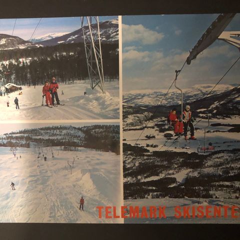 Telemark skisenter ubrukt (1178C)