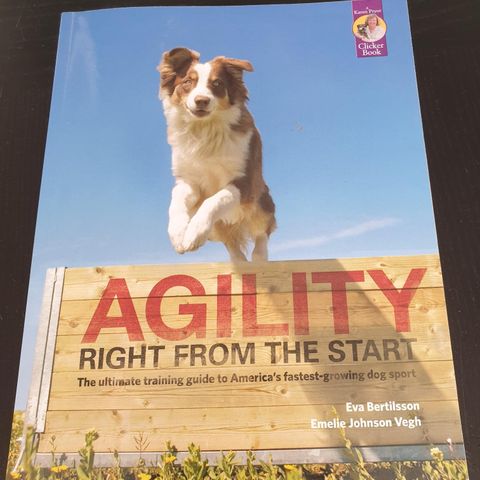 Agility Right from the start.